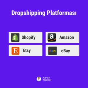 dropshipping platformaları